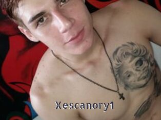 Xescanory1