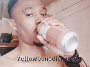 Yellowbonedick2010