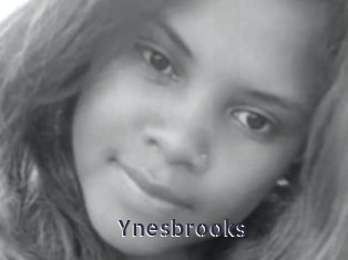 Ynesbrooks