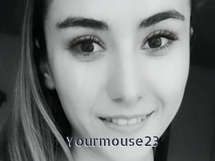 Yourmouse23