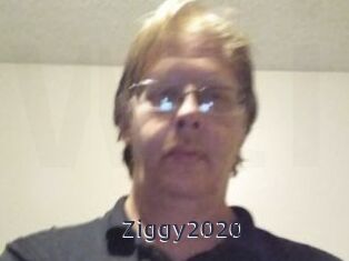 Ziggy2020
