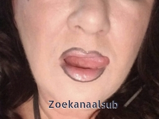 zoekanaalsub webcam livesex